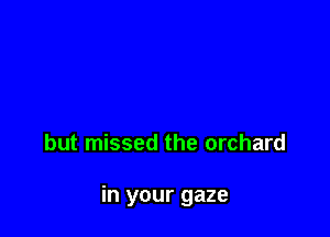 but missed the orchard

in your gaze