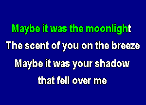 Maybe it was the moonlight
The scent of you on the breeze

Maybe it was your shadow
that fell over me