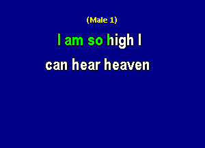 (Male 1)

lam so high I

can hear heaven