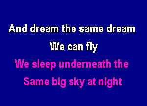 And dream the same dream

We can fly