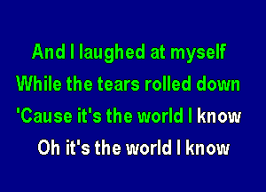 And I laughed at myself
While the tears rolled down
'Cause it's the world I know

Oh it's the world I know