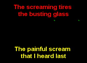 The screaming tires
the busting glass

The painful scream
that I heard last