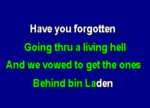 Have you forgotten

Going thru a living hell

And we vowed to get the ones
Behind bin Laden