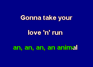 Gonna take your

love 'n' run

an, an, an, an animal