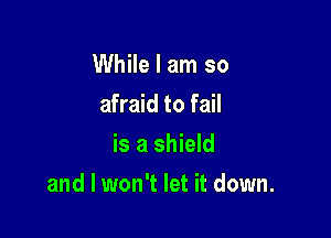 While I am so
afraid to fail
is a shield

and I won't let it down.