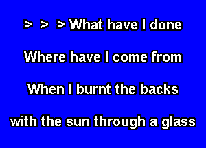 Whathaveldone

Where have I come from

When I burnt the backs

with the sun through a glass