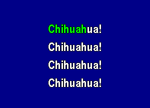 Chihuahua!
Chihuahua!

Chihuahua!
Chihuahua!
