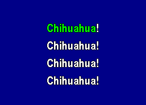 Chihuahua!
Chihuahua!

Chihuahua!
Chihuahua!