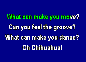 What can make you move?
Can you feel the groove?

What can make you dance?
0h Chihuahua!