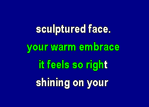 sculptured face.

your warm embrace

it feels so right
shining on your