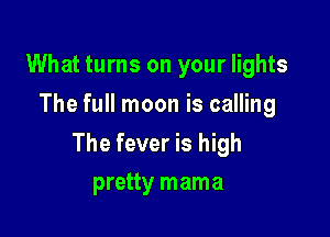 What turns on your lights
The full moon is calling

The fever is high
pretty mama