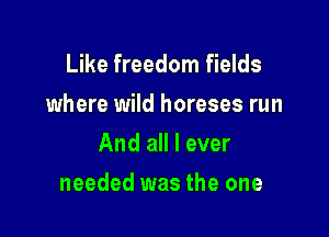 Like freedom fields
where wild horeses run
And all I ever

needed was the one