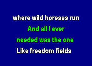 where wild horeses run
And all I ever
needed was the one

Like freedom fields