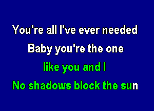 You're all I've ever needed

Baby you're the one

like you and I
No shadows block the sun