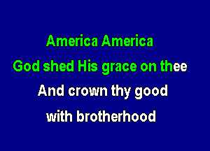 America America

God shed His grace on thee

And crown thy good
with brotherhood