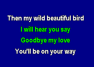 Then my wild beautiful bird

I will hear you say

Goodbye my love
You'll be on your way