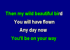Then my wild beautiful bird

You will have flown
Any day now

You'll be on your way