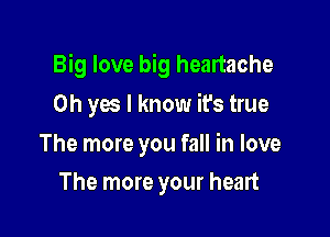Big love big heartache

Oh yes I know it's true

The more you fall in love
The more your heart