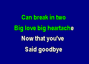 Can break in two

Big love big heartache
Now that you've

Said goodbye