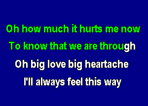 Oh how much it hurts me now
To know that we are through

0h big love big heartache
I'll always feel this way