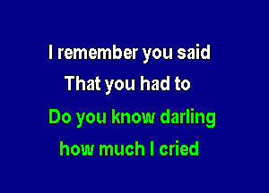 I remember you said
That you had to

Do you know darling

how much I cried