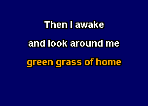 Then I awake

and look around me

green grass of home