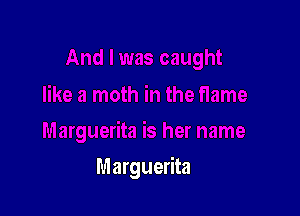 Marguerita
