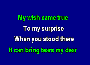 My wish came true
To my surprise
When you stood there

It can bring tears my dear