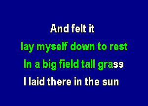 And felt it
lay myself down to rest

In a big field tall grass

llaid there in the sun