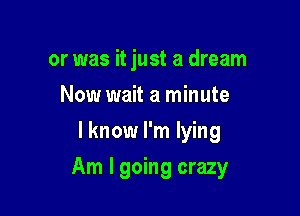 or was it just a dream
Now wait a minute
I know I'm lying

Am I going crazy