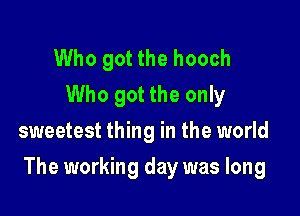 Who got the hooch
Who got the only
sweetest thing in the world

The working day was long