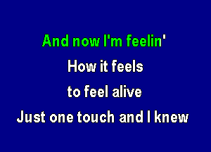 And now I'm feelin'
How it feels
to feel alive

Just one touch and I knew