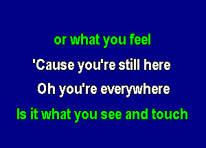 or what you feel

'Cause you're still here

Oh you're everywhere
Is it what you see and touch
