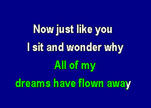 Nowjust like you
I sit and wonder why
All of my

dreams have flown away