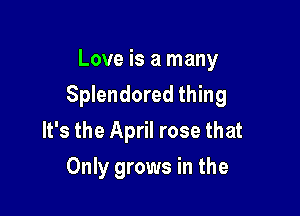 Love is a many

Splendored thing

It's the April rose that
Only grows in the
