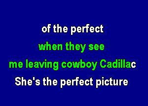 of the perfect
when they see

me leaving cowboy Cadillac

She's the perfect picture