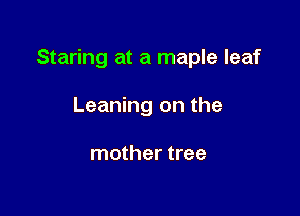 Staring at a maple leaf

Leaning on the

mother tree