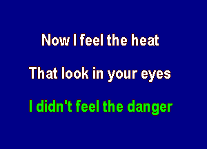 Now I feel the heat

That look in your eyes

I didn't feel the danger