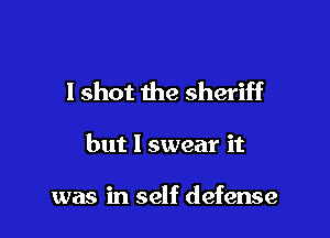 I shot the sheriff

but I swear it

was in self defense