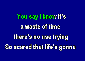 You say I know it's
a waste of time
there's no use trying

So scared that life's gonna