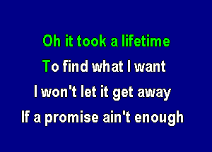 Oh it took a lifetime
To find what I want
lwon't let it get away

If a promise ain't enough