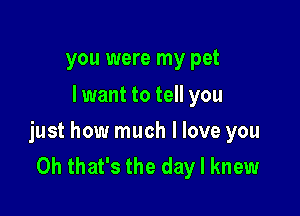you were my pet
I want to tell you

just how much I love you
Oh that's the day I knew
