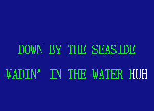 DOWN BY THE SEASIDE
WADIW IN THE WATER HUH