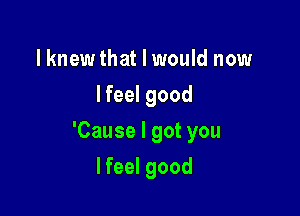 lknewthat I would now
I feel good

'Cause I got you

lfeel good