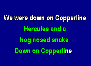 We were down on Copperline
Hercules and a
hog nosed snake

Down on Copperline