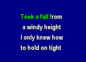 Took a fall from

a windy height

I only knew how
to hold on tight