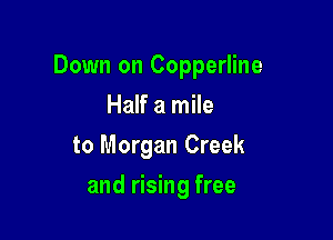 Down on Copperline

Half a mile
to Morgan Creek
and rising free