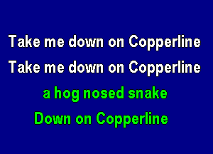 Take me down on Copperline
Take me down on Copperline
a hog nosed snake

Down on Copperline