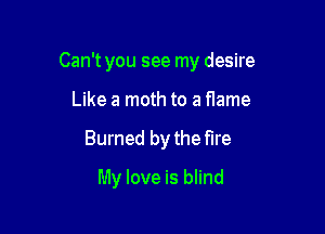 Can't you see my desire

Like a moth to a fIame
Burned by the fire
My love is blind