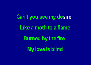 Can't you see my desire

Like a moth to a fIame
Burned by the fire
My love is blind